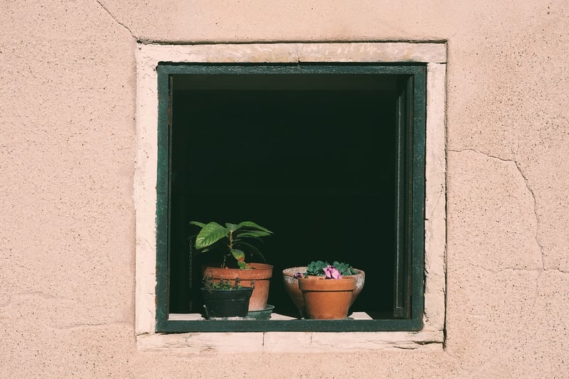 Ingredient insights